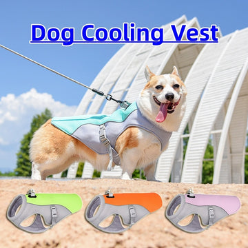 Breathable Dog Cooling Vest – Heat-Resistant Summer Clothes for Small to Large Dogs, Sunproof & Lightweight for Outdoor Walks