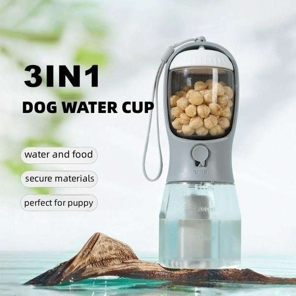 Pet Accessories
