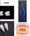 Halloween zombie teeth party props unisex 19mm