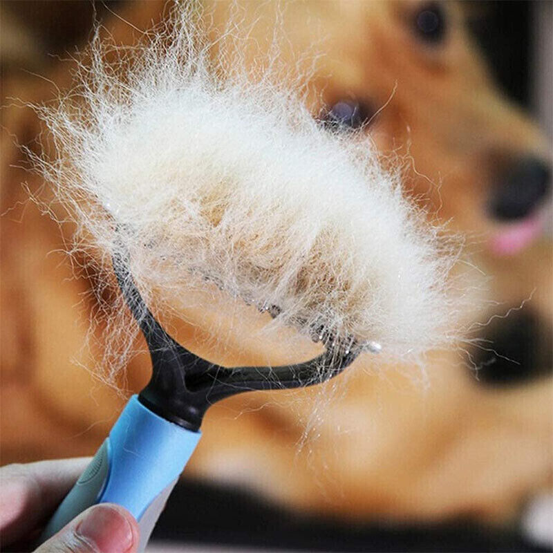 Dog grooming brush with collected fur in front of a dog