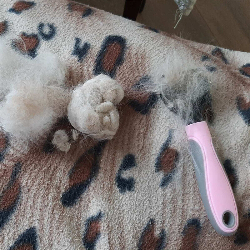 Pet grooming brush with collected fur on a leopard print blanket