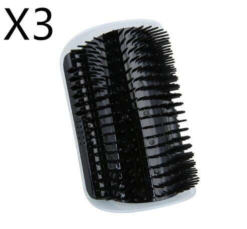 Three black hairbrushes in a clear plastic container on a white background