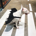 Adjustable Halloween pet bat wings for dogs and cats