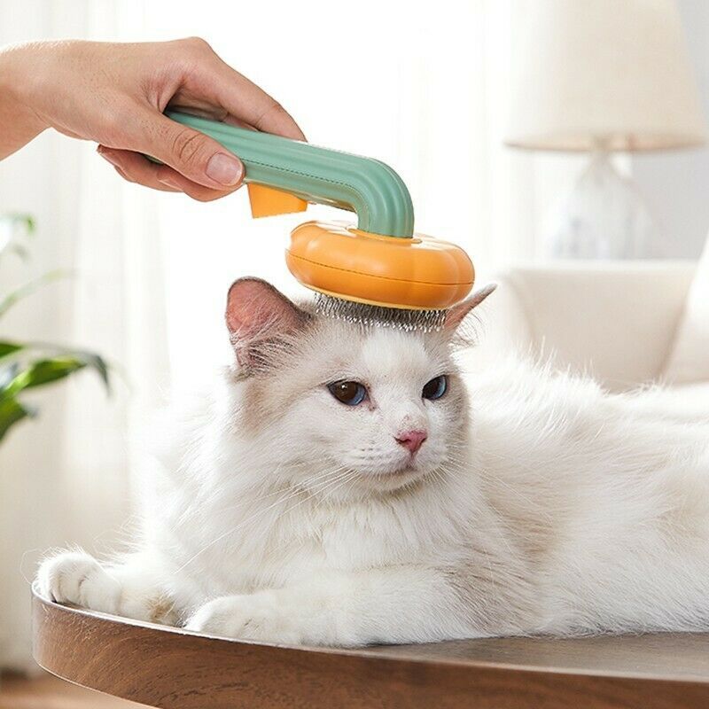 Person using a grooming tool on a white cat indoors