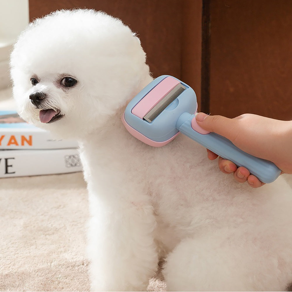 White dog being groomed with a pink and blue grooming brush held by a person