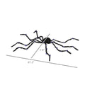Measurement chart of a spider with dimensions labeled on a white background