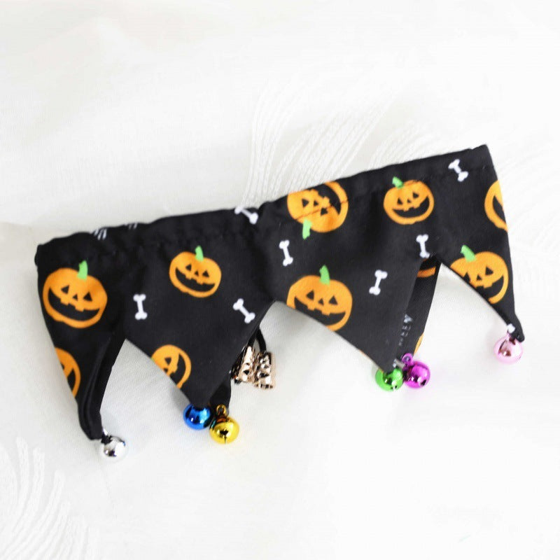 Cute dog with pumpkin and bone Halloween collar