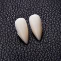 Scary plastic resin vampire teeth with DIY fitting
